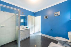 a blue bathroom with a toilet and a shower at Holiday on the Terrace in Dunsborough