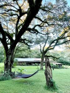 een hangmat in een veld met twee bomen en een gebouw bij The Harmony Oaks Homestead in Masaryktown