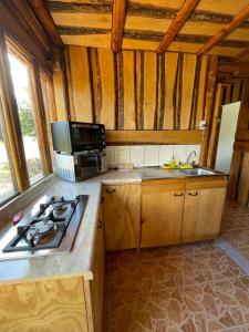 a kitchen with a stove top and a microwave at Turismo y cabañas Chulengo in Cochrane