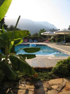 una piscina con sillas y una montaña en el fondo en Pasha Apart Hotel, en Kalkan