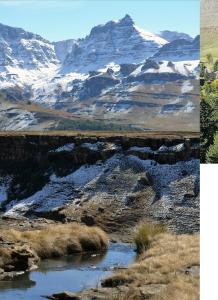 アンダーバーグにあるFairways Drakensbergのギャラリーの写真