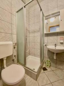 a bathroom with a shower and a toilet and a sink at Apartment Marina in Lastovo