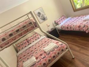 two bunk beds in a room with at Chiltern Lodge Country Retreat in Old Bar +20 photos