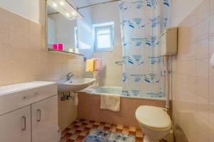 een badkamer met een toilet, een wastafel en een douche bij Apartments Danica in Dramalj