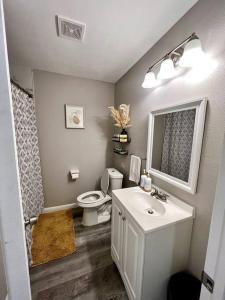 a bathroom with a toilet and a sink and a mirror at Spacious/Cozy home in Fort Worth in Fort Worth