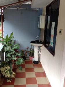 a bathroom with a sink and potted plants at Nakshatra Homestay in Madikeri