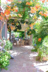パリヌーロにあるB&B Casa Vacanze Marcellaの木の上にオレンジの花が咲き誇るパティオ