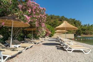 a row of lounge chairs and umbrellas on a beach at Alesta Midtown in Fethiye