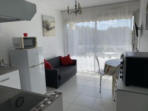 a living room with a couch and a microwave at T1 Classé 3 Étoiles avec Animaux Admis et Climatisation - FR-1-571-49 in Balaruc-les-Bains