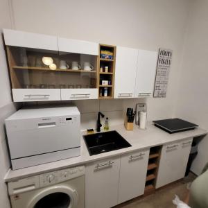eine Küche mit einer Spüle und einer Waschmaschine in der Unterkunft Apartment Cozy B66 - Nähe Alexanderplatz in Berlin