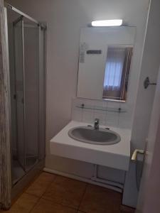 a bathroom with a sink and a shower at Hotel bar Saint Christophe in Le Tilleul