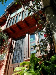 een raam van een gebouw met planten ervoor bij El Balconcillo-Los Sitios de Aravalle in Umbrías