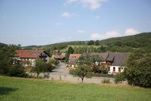 Photo de la galerie de l'établissement Hotel & Landgasthaus Pfeifertal, à Eulenbis
