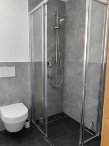 a bathroom with a shower and a toilet at Apartment am Mühlbach in Reith bei Seefeld