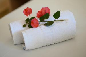 Siora Leni Hotel في بينيتسيس: لفة من ورق التواليت مع الزهور الحمراء عليها