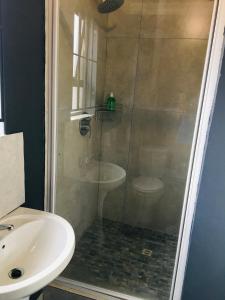 un bagno con doccia, lavandino e servizi igienici di Black Rose Guesthouse a Soweto