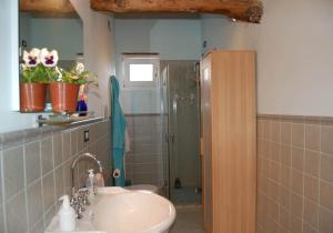 La salle de bains est pourvue d'un lavabo et d'une douche. dans l'établissement Gaia, à Lucques