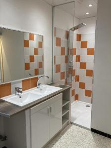 een badkamer met een wastafel en een douche bij Pélissanne, superbe appartement entièrement rénové in Pélissanne