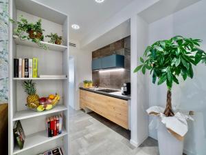 een keuken met een wastafel en een plant in een kamer bij Venice Green Residence in Mestre