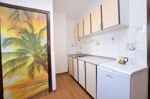 Kuchyň nebo kuchyňský kout v ubytování Apartments Ljiljana