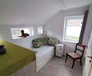 a dog sitting on a bed in a tiny house at Ferienhaus Domizil Wattenmeer in Friedrichskoog