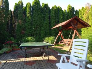 Stolní tenis v ubytování Petra Vendégház nebo okolí