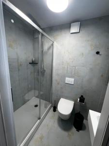Un baño con ducha, inodoro y lavabo. en Sunrise Lauku Apartments, en Liepāja