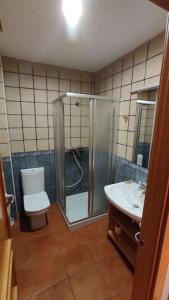 a bathroom with a shower and a toilet and a sink at Pirineos como en casa in Bielsa +8 photos