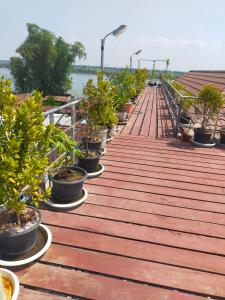 磅湛Phalla Riverside的相册照片