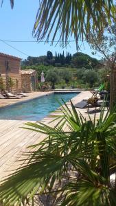 Blick auf einen Pool mit einer Palme in der Unterkunft La Bastide des Sources in Le Castellet
