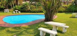 ein Pool mit zwei Bänken neben einer Palme in der Unterkunft Balooga 11 - 6 Sleeper - Amazing Sea Views! in Margate
