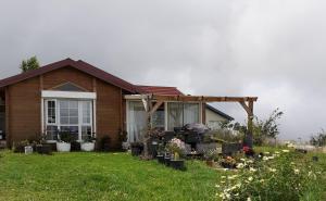 a house with a bunch of plants in the yard at Chalet de Notre Dame in Le Tampon