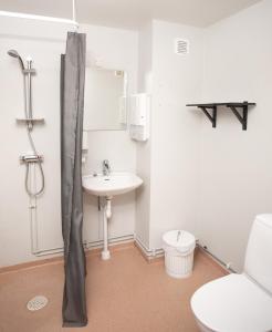 a bathroom with a toilet and a sink at Vandrarhemmet Vindarnas Hus in Örnsköldsvik