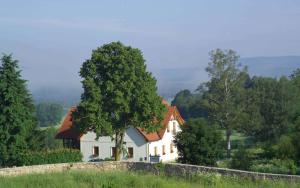 una casa bianca con un albero su una collina di Pension Slunečná a Želnava