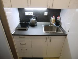 Kuchyň nebo kuchyňský kout v ubytování Apartmány Karlov pod Pradědem