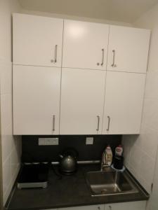 Kuchyň nebo kuchyňský kout v ubytování Apartmány Karlov pod Pradědem