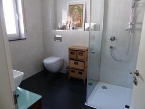 a bathroom with a shower and a toilet and a sink at Ruhiges Zimmer am Tuniberg Freiburg in Freiburg im Breisgau
