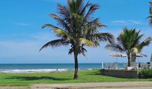 twee palmbomen op een strand met de oceaan bij CASA AZUL in Peruíbe