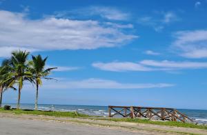 een strand met twee palmbomen en de oceaan bij CASA AZUL in Peruíbe +21 foto's