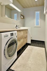eine Waschmaschine in einer Küche mit Spüle in der Unterkunft Economy Autto in Levi