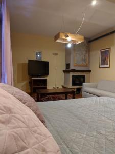 TV a/nebo společenská místnost v ubytování Chalet Morier