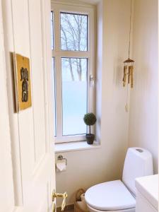 a bathroom with a toilet and a window at Vibæk in Sønderborg