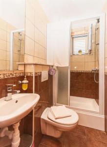 a bathroom with a sink and a toilet and a shower at Apartment Temza in Krilo