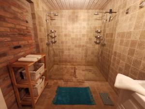 a bathroom with a shower with a sink and a toilet at House of Freedom with Sea View and Sauna in Osłonino