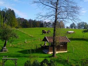 dos caballos están pastando en un campo con un edificio en Holzer-Hof, 