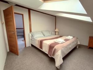 a bedroom with a bed in a room with a skylight at Apartament na Małym Rynku in Sandomierz