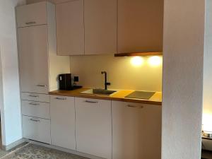 Kuchyň nebo kuchyňský kout v ubytování Apartment Platten by Interhome