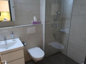 een badkamer met een douche, een toilet en een wastafel bij Apartment Utoring Acletta-25 by Interhome in Disentis