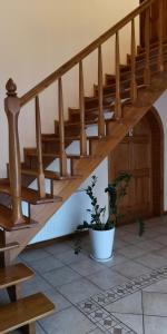 a wooden staircase in a house with a potted plant at Villa Basia in Międzyzdroje