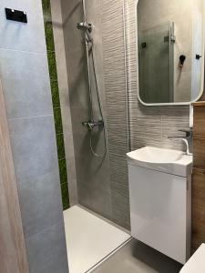 a bathroom with a shower and a sink at Boya Home in Wilkasy +17 photos